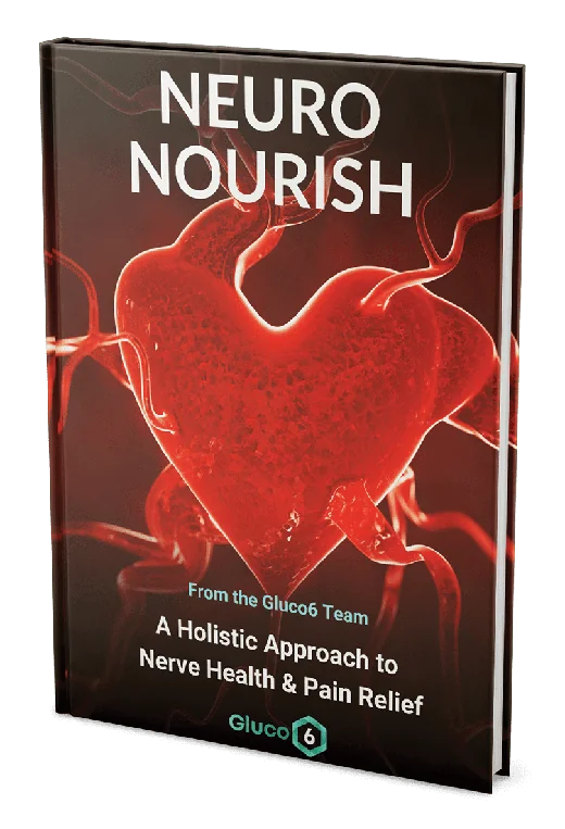 Neuro Nourish bonus digital guide